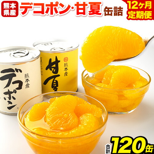 【12ヶ月定期便】デコポン・甘夏缶詰セット計10缶入り 熊本県 葦北郡 津奈木町 あしきた農業協同組合 JAあしきた《お申込み翌月から出荷》柑橘 デコポン 甘夏 あまなつ フルーツ 果物 缶詰 セット 送料無料 合計120個お届け 2609391 - 熊本県津奈木町