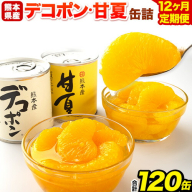【12ヶ月定期便】デコポン・甘夏缶詰セット計10缶入り 熊本県 葦北郡 津奈木町 あしきた農業協同組合 JAあしきた《お申込み翌月から出荷》柑橘 デコポン 甘夏 あまなつ フルーツ 果物 缶詰 セット 送料無料 合計120個お届け