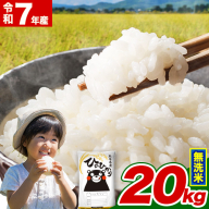 令和7年産  無洗米 ひのひかり 20kg 《7-14日以内に出荷予定(土日祝除く)》 令和7年産 熊本県産 ふるさと納税 精米 ひの 米 こめ ふるさとのうぜい ヒノヒカリ コメ お米 おこめ