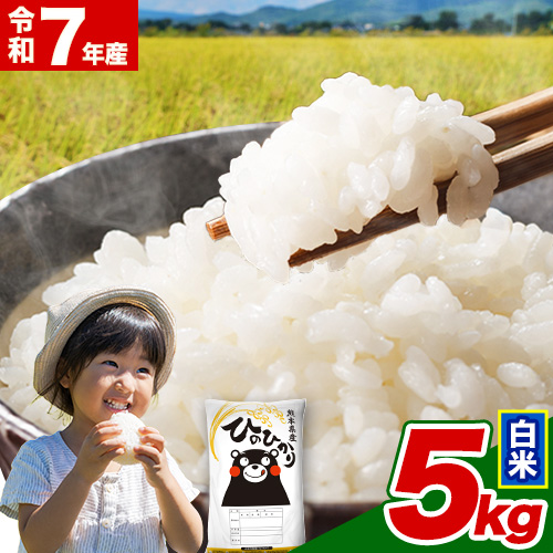  令和7年産  白米 ひのひかり 5kg 《7-14日以内に出荷予定(土日祝除く)》 熊本県産 ふるさと納税 精米 ひの 米 こめ ふるさとのうぜい ヒノヒカリ コメ お米 おこめ 2609394 - 熊本県津奈木町