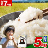 令和7年産 白米 ひのひかり 5kg [7-14日以内に出荷予定(土日祝除く)] 熊本県産 ふるさと納税 精米 ひの 米 こめ ふるさとのうぜい ヒノヒカリ コメ お米 おこめ