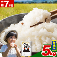 令和7年産  無洗米 ひのひかり 5kg 《7-14日以内に出荷予定(土日祝除く)》 熊本県産 ふるさと納税 精米 ひの 米 こめ ふるさとのうぜい ヒノヒカリ コメ お米 おこめ