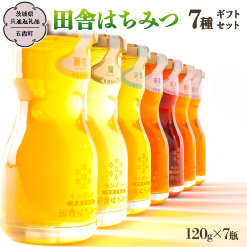 季節で移ろう 田舎 はちみつ 7種 ギフトセット [結蜜 Musubi-R7] 【茨城県共通返礼品／五霞町】  120g×7 瓶 生ハチミツ 非加熱 国産 国産はちみつ ハチミツ 茨城県産 [BS007sa] 2609484 - 茨城県桜川市