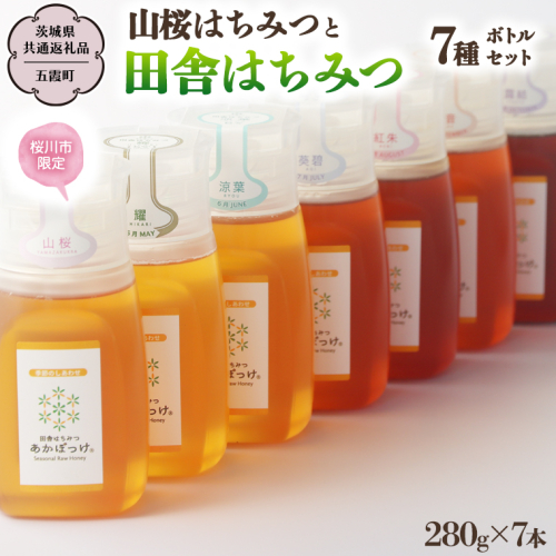【桜川市限定】 山桜はちみつ と 田舎はちみつ ボトル 全 7種 セット [ピタッとボトルＢ7山桜] 【茨城県共通返礼品／五霞町】  280g×7本 ボトル 生ハチミツ 非加熱 国産 国産はちみつ ハチミツ 茨城県産 [BS011sa] 2609489 - 茨城県桜川市