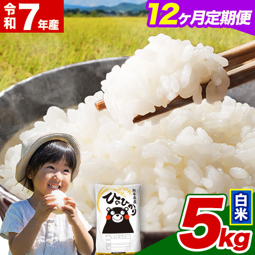 令和7年産【12ヵ月定期便】 白米 ひのひかり 定期便 5kg 5kg×1袋《お申込み翌月から出荷》 熊本県産 精米 ひの 米 こめ ヒノヒカリ コメ お米 2609575 - 熊本県津奈木町