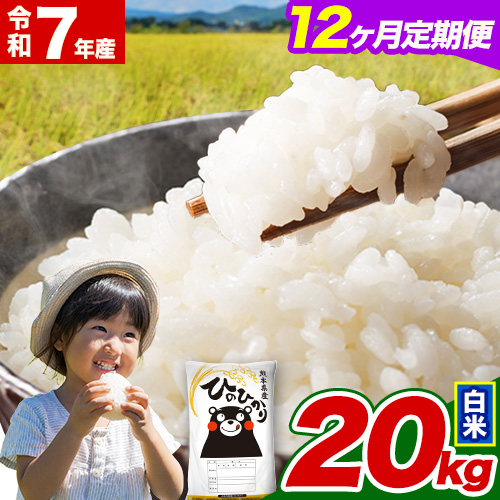  令和7年産【12ヵ月定期便】 白米 ひのひかり 定期便 20kg 5kg×4袋《お申込み翌月から出荷》 熊本県産 精米 ひの 米 こめ ヒノヒカリ コメ お米 2609579 - 熊本県津奈木町
