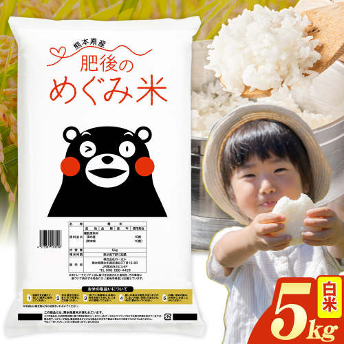 白米 熊本県産 ブレンド米 肥後のめぐみ米 5kg 《7-14日以内に出荷(土日祝除く)》熊本県産 ふるさと納税 精米 米 こめ ふるさとのうぜい コメ お米 おこめ 2609582 - 熊本県津奈木町
