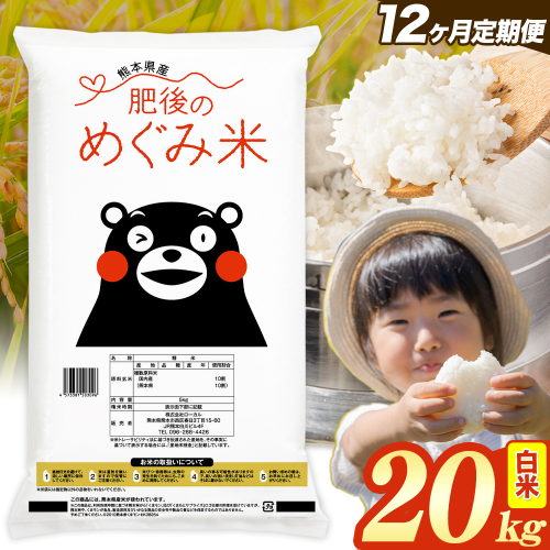 【12ヶ月定期便】白米 熊本県産 ブレンド米 肥後のめぐみ米 20kg 熊本県産 ふるさと納税 精米 米 こめ ふるさとのうぜい コメ お米 おこめ《お申込み翌月から出荷》 2609591 - 熊本県津奈木町