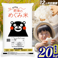 【12ヶ月定期便】無洗米 熊本県産 ブレンド米 肥後のめぐみ米 20kg 熊本県産 ふるさと納税 精米 米 こめ ふるさとのうぜい コメ お米 おこめ《お申込み翌月から出荷》