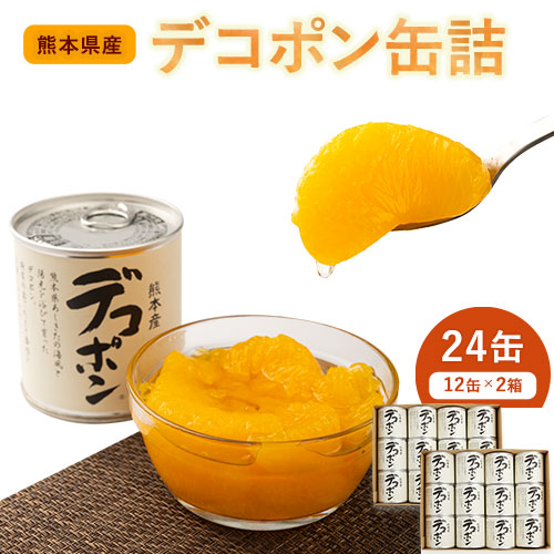 デコポン缶詰24缶入り (12缶×2箱)《60日以内に出荷予定(土日祝除く)》熊本県 葦北郡 津奈木町 あしきた農業協同組合 JAあしきた 柑橘 デコポン フルーツ 果物 缶詰 送料無料 2609605 - 熊本県津奈木町