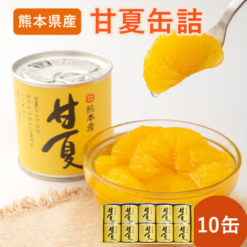 甘夏缶詰10缶入り《60日以内に出荷予定(土日祝除く)》熊本県 葦北郡 津奈木町 あしきた農業協同組合 JAあしきた 柑橘 甘夏 あまなつ フルーツ 果物 缶詰 送料無料 2609607 - 熊本県津奈木町