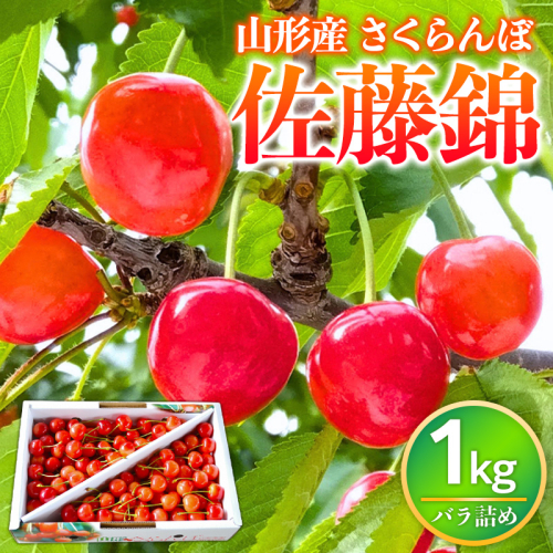 山形県産 さくらんぼ 佐藤錦 1kg バラ詰め FY26-073 2609744 - 山形県山形市