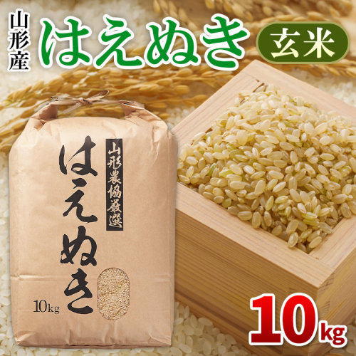 はえぬき 玄米 10kg FY26-054 2609754 - 山形県山形市