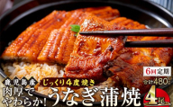 【6回定期】うなぎ 蒲焼 120g×4尾【鹿児島産】地下水で育てた絶品鰻