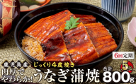 【6回定期】うなぎ 蒲焼 160g×5尾【鹿児島産】地下水で育てた絶品鰻