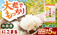 [3分づき米][全3回定期便][精米方法が選べる!]にこまる 5kg(5kg×1袋) 糸島市 / 玄米・精米専門店 新飼宗一郎商店 [ADE022-4]