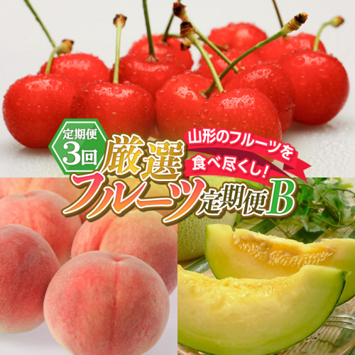 【定期便3回】山形のフルーツを食べ尽くし！厳選フルーツ定期便B FY26-064 2609975 - 山形県山形市