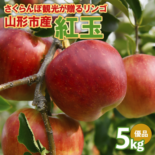 さくらんぼ観光が贈るリンゴ  紅玉 こうぎょく 優 5kg  FY26-040 2609978 - 山形県山形市