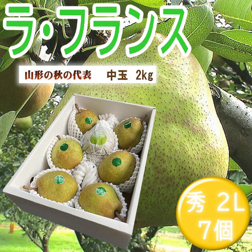 山形特産ラフランス 特秀2L 7個 FY26-070 2609988 - 山形県山形市