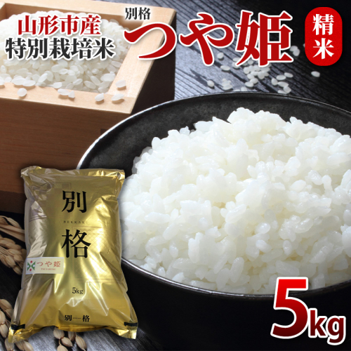 特別栽培米 つや姫 精米5kg FY26-069 2610000 - 山形県山形市