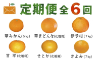 ＜発送月固定定期便＞コウ果樹園の旬の柑橘定期便(11月-4月)＜H33-40＞全6回_ 定期便 みかん ミカン まどんな せとか 甘平 愛媛県 フルーツ 果物 くだもの 柑橘 かんきつ 人気 産地直送 産直 ジューシー 甘い 果汁 糖度 甘い 人気 食べ比べ 6種【4052188】 YWTG022