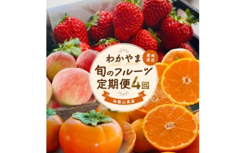 わかやま 旬の フルーツ 定期便【S】 全4回 / 有田みかん まりひめ いちご 桃 柿 ※北海道・沖縄・離島への配送不可【ard-tkb910】 2610319 - 和歌山県古座川町