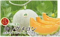 豊潤な香り「特選甘熟キングメロン」北海道産どっさり8.5kg!!　H023