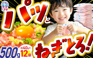 【2026年8月発送】訳アリ 福島製造 ねぎとろ使い切りパック 約500g（約40g×12パック）｜ ネギトロ 簡単 調理 いわき市 福島県 小分け 冷凍 個包装 使い切りパック 1人前 まぐろたたき まぐろ