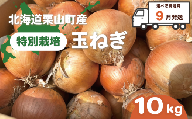 【9月発送】サラダにもOK！特別栽培玉ねぎ10kg　A001