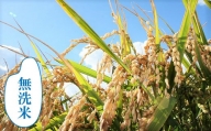 【無洗米12ヶ月定期便】特別栽培「きなうす米」北海道産ゆめぴりか5kg×12回　P011