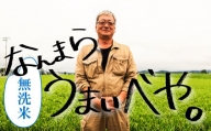 【無洗米12ヶ月定期便】特別栽培「きなうす米」北海道産ゆめぴりか10kg×12回　U002