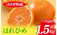 [先行予約]はれひめ(1.5kg)[K003690K1] 人気商品 国産 高級フルーツ 人気商品 みかん 柑橘 フルーツ 果物 乃万青果 のま果樹園 はれひめ