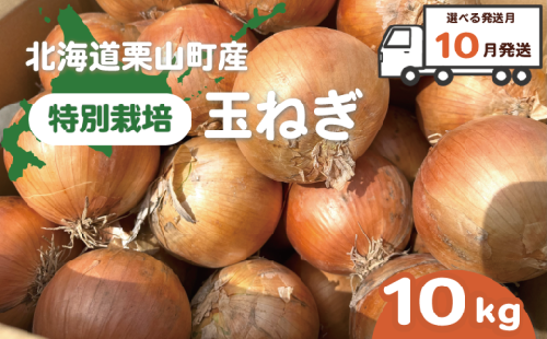 【10月発送】サラダにもOK！特別栽培玉ねぎ10kg　A002