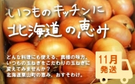 【11月発送】越冬用減農薬玉ねぎ10kg　A003