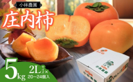 【令和8年産先行予約】　庄内柿　2Lサイズ　5kg（20～24個）　山形県鶴岡市　小林農園　| 柿 カキ 平核無柿 ひらたねなしかき 種無し柿 旬 期間限定 果物 フルーツ 甘い おいしい おすすめ お取り寄せ 返礼品
