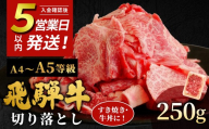 [5営業日以内発送] 飛騨牛 A4~A5等級 切り落とし 250g 岐阜県産 A4 A5 すき焼き 牛丼 炒め物 おかず 肉じゃが カレー 黒毛和牛 牛肉 牛 国産 お取り寄せ ごちそう 自宅用 部位おまかせ 和牛 訳あり 小分け 最短発送 肉のひぐち