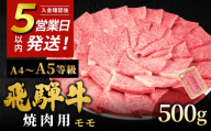 [5営業日以内発送]飛騨牛 A4~A5等級 もも焼肉用 500g 岐阜県産 A4 A5 焼肉 BBQ 黒毛和牛 もも モモ 赤身 牛肉 牛 国産 お取り寄せ ごちそう 自宅用 和牛 小分け 最短発送 肉のひぐち