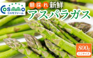 朝採り新鮮アスパラガス 800g【ミニサイズ】 | 野菜 アスパラガス グリーンアスパラ 旬 とれたて  春野菜 春 朝採り 朝採れ とれたて 新鮮 みずみずしい サラダ 甘い お取り寄せ 産地直送 冷蔵 岐阜県 瑞穂市