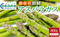 朝採り新鮮アスパラガス 800g 【2Lサイズ】 | 野菜 アスパラガス グリーンアスパラ 旬 とれたて  春野菜 春 朝採り 朝採れ とれたて 新鮮 みずみずしい サラダ 甘い お取り寄せ 産地直送 冷蔵 岐阜県 瑞穂市