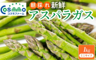 朝採り新鮮アスパラガス 1kg【ミニサイズ】 | 野菜 アスパラガス グリーンアスパラ 旬 とれたて  春野菜 春 朝採り 朝採れ とれたて 新鮮 みずみずしい サラダ 甘い お取り寄せ 産地直送 冷蔵 岐阜県 瑞穂市