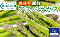 朝採り新鮮アスパラガス 1kg【Lサイズ】 | 野菜 アスパラガス グリーンアスパラ 旬 とれたて  春野菜 春 朝採り 朝採れ とれたて 新鮮 みずみずしい サラダ 甘い お取り寄せ 産地直送 冷蔵 岐阜県 瑞穂市