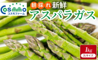 朝採り新鮮アスパラガス 1kg【2Lサイズ】 | 野菜 アスパラガス グリーンアスパラ 旬 とれたて  春野菜 春 朝採り 朝採れ とれたて 新鮮 みずみずしい サラダ 甘い お取り寄せ 産地直送 冷蔵 岐阜県 瑞穂市