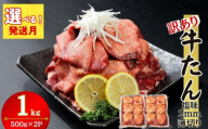 【2026年7月発送】【訳あり】【発送月が選べる】 業務用 薄切り 牛タン 1kg （500g×2パック） 塩味 牛たん 小分け 牛肉 塩タン ねぎタン スライス 規格外 バーベキュー BBQ 焼肉 冷凍 宮城県 東松島市 オンラインワンストップ 対応 佐利 N