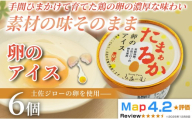 卵のアイス 100ml × 6個 アイスクリーム 人気 卵 土佐ジロー おやつ お菓子 アイスクリーム ファミリー おすすめ ご当地アイス アイス 高知県 たまご 卵 地鶏 スイーツ デザート ヘルシー 牛乳 ミルク 濃厚 手作り 話題 ユニーク 変わり種 ホームパーティー おもてなし 詰め合わせ 贈り物 贈答 ギフト プレゼント リピート ジェラート 安芸市 高知県