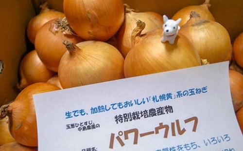 「玉葱ひとすじ。中島農園」札幌黄系玉葱5kg　B013