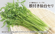 【期間限定】根付き仙台セリ鍋出汁セット（セリ鍋用出汁・スープ付）（1,000g）9～10人前 [せり鍋 仙台名物 冬 ごちそう 惣菜 セリ]