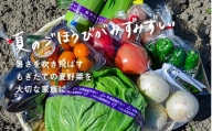 大地の恵み 「新鮮！夏野菜セット」　B035