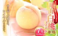 岡山白桃 （ 中世 ） 7玉 （ 1玉 260g以上 ） 白桃 食感 くだもの 果物 果実 国産 岡山県産 果汁 果肉 フルーツ もも モモ 桃 果皮 糖度 有袋栽培 【 2026年7月上旬～8月下旬発送予定 】