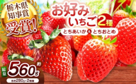[2027年先行予約]新定番とちあいか&元祖とちおとめ 食べ比べセット 560g