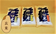 特別栽培「きなうす米」セット（玄米）3品種15kg　G006